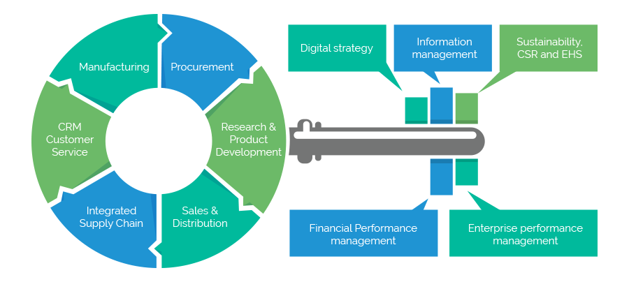 Consumer Packaged Goods (CPG) Industry Solutions ... erp life cycle diagram 