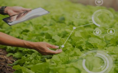 Implementation of Digital Farming Solution & Mobile App