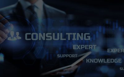 Global Applications & BI Support, BI Development and Business Consulting Services